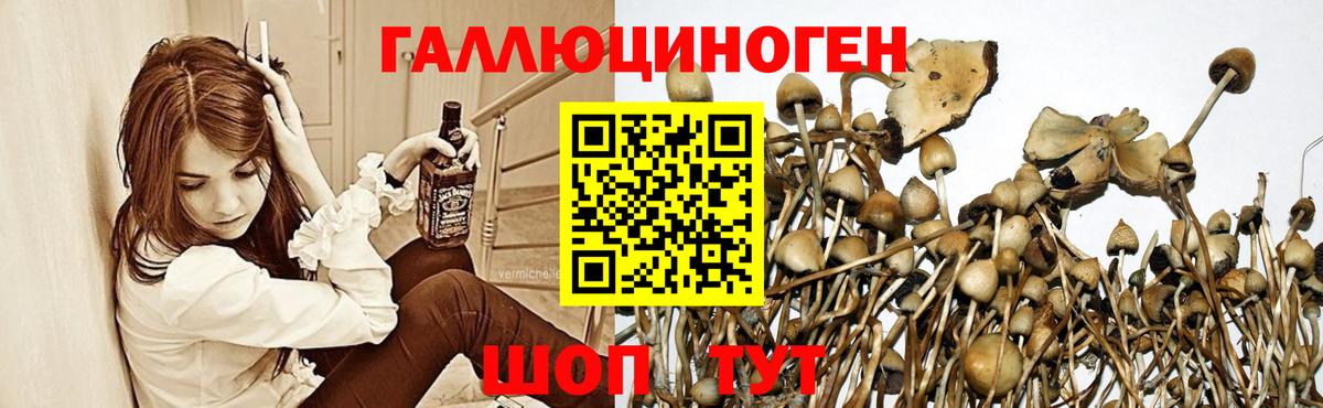 Псилоцибиновые грибы мухоморы  закладка  Елабуга  Вход с VPN 